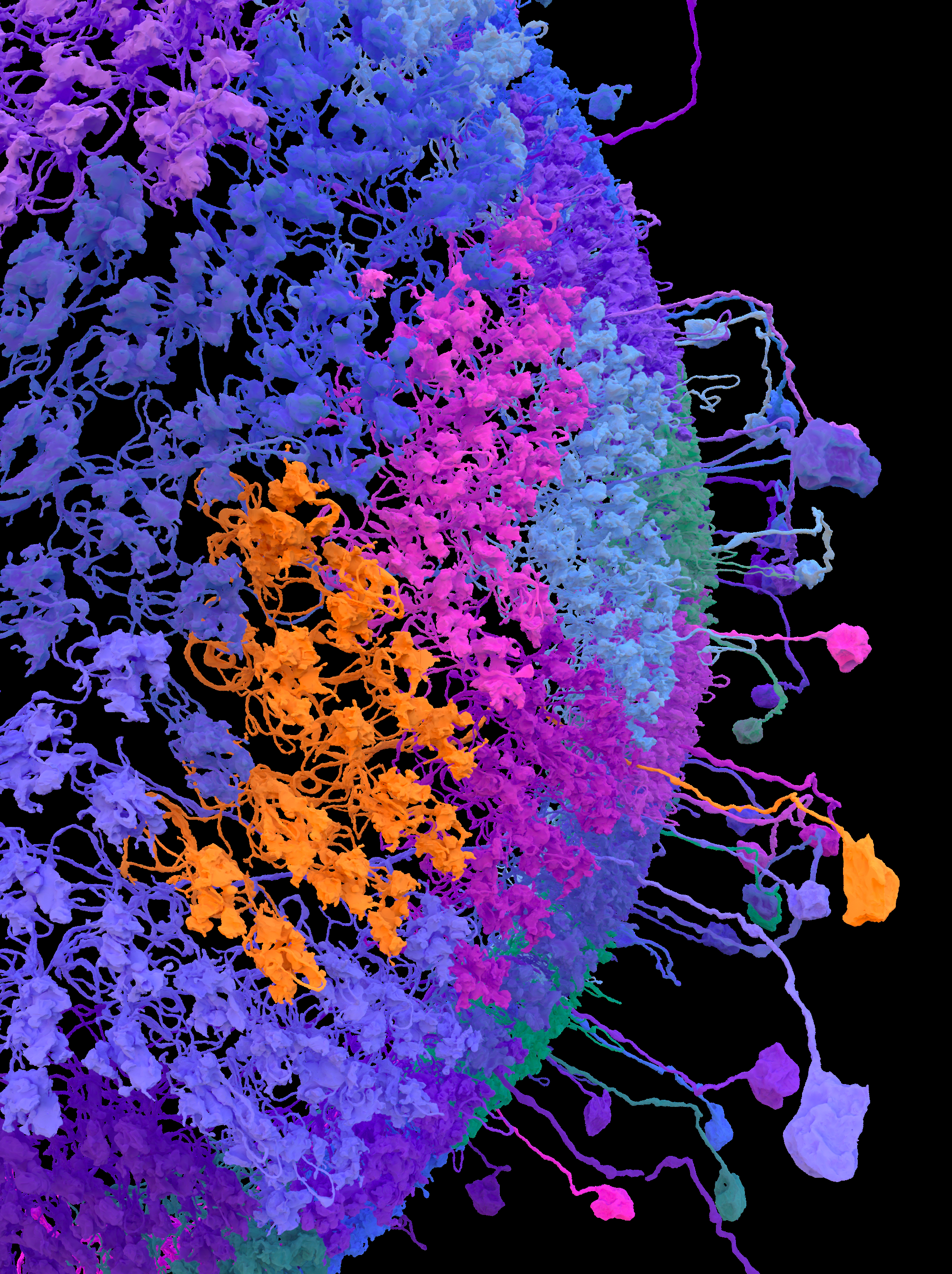 DPM Nature cover concept